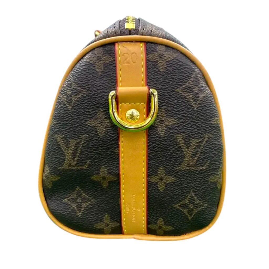 Louis Vuitton-Style Handbag 5